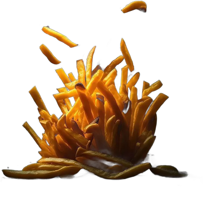 French Fry
